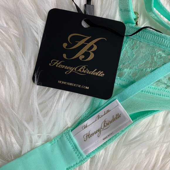 NWT Honey Birdette Vanessa Mint Bra - Picture 12 of 16